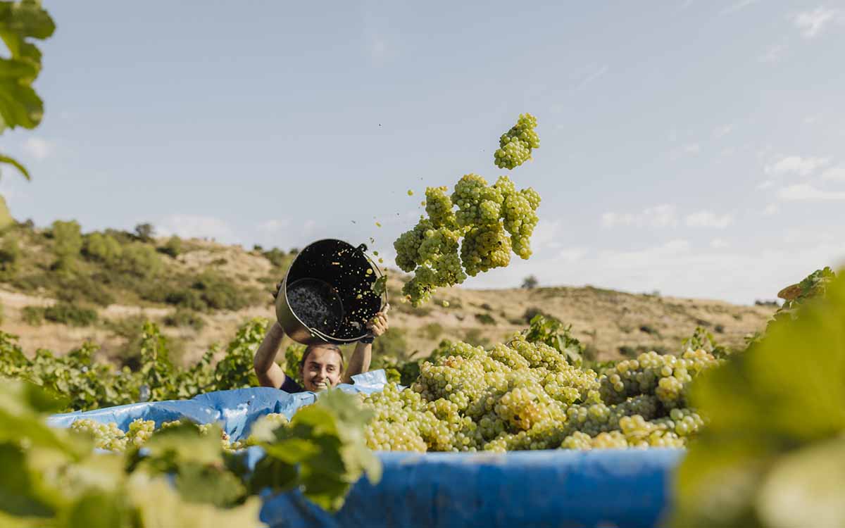 Olivera_Verema_2025_@jordirullo-03