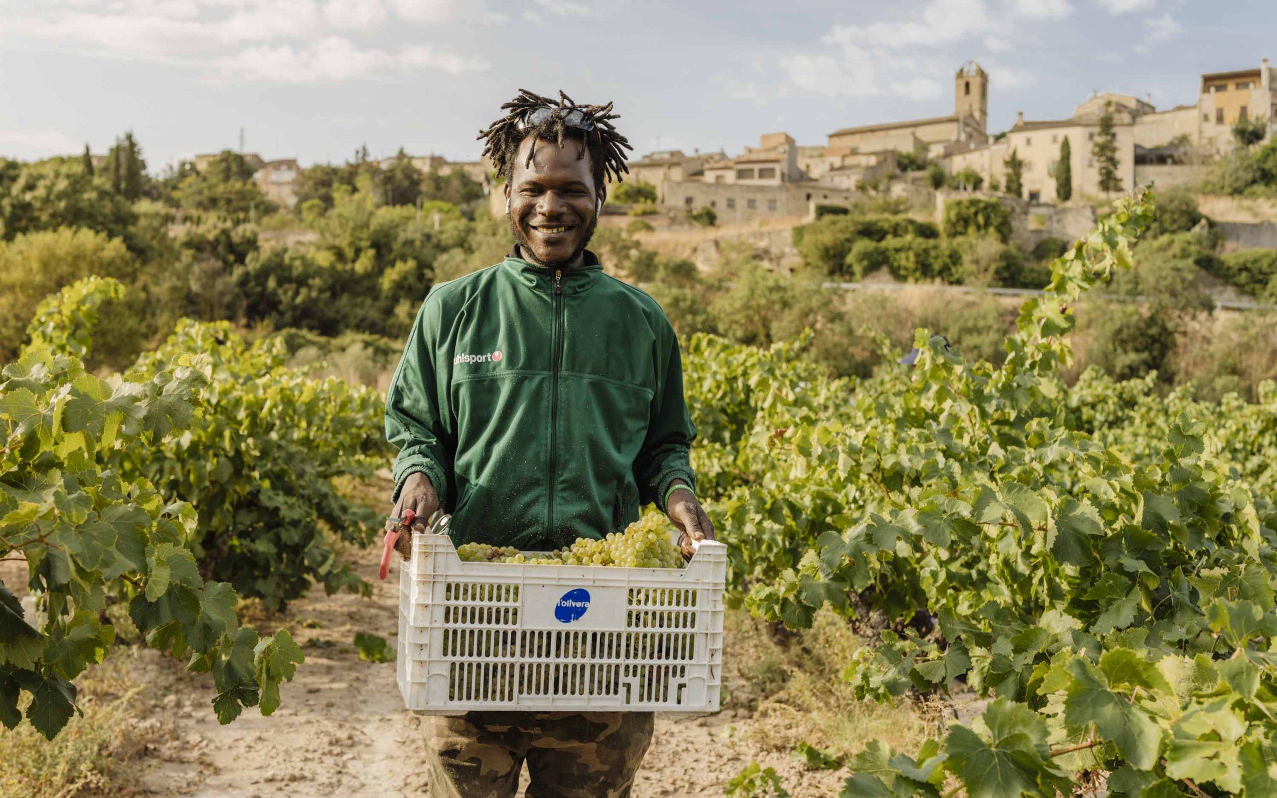 Olivera_Verema_2025_@jordirullo