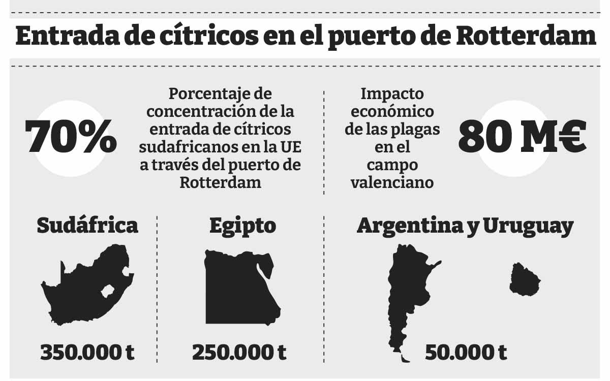 Pto. Rotterdam-datos