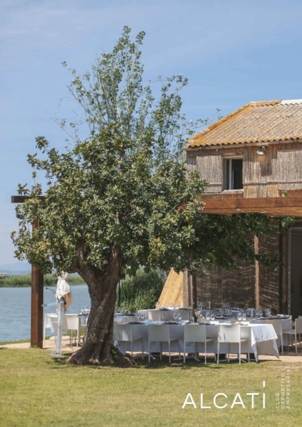 Comidas Navidad 2025