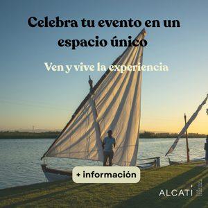 Alcati