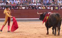 Los toros baten récords de audiencia y reúnen a 600.000 espectadores en À Punt