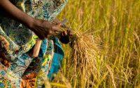 El recorte de la ayuda de USAID acelera el debate sobre la cooperación con África