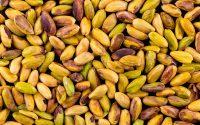 La fiebre del pistacho impulsa inversión, innovación y empleo agrario