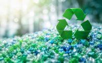 SP Berner, Paulowsky y ALPLA: quién convierte el reciclaje del plástico en negocio real