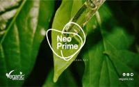La biología nos lo cuenta: así entrenan los Plant Primers de Veganic a las plantas