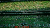 Ángel Haro y el Real Betis: Europa disparó los ingresos y tensionó el balance