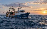 La pesca de bajura, al límite por el precio del combustible