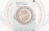 La cigala de Gandia pasa de la lonja a la carta en 21 restaurantes