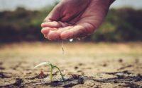 Estrés hídrico e industria: cómo afecta la escasez de agua a las empresas valencianas y qué soluciones existen