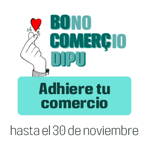 Camara Valencia Bono Comercio