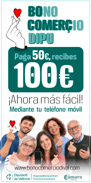Camara Valencia Bono Comercio