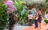 Iberflora y Eurobrico 2026: oportunidades de negocio en el sector verde y el bricolaje español