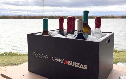 WhatsApp-Image-2025-12-05-at-09.43.34